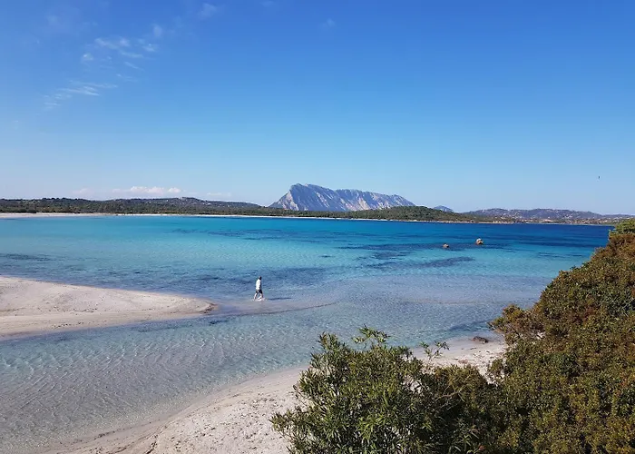 Terry's House Affittacamere 3*