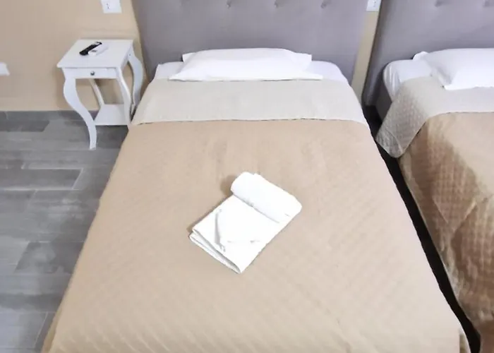 Terry's House 招待所